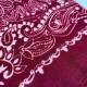 Foulard bordeaux et noir